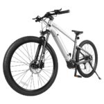 ACCOLMILE LIGHTNING BEAR ELECTRIC BIKE