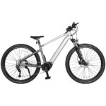 ACCOLMILE LIGHTNING BEAR ELECTRIC BIKE - Image 3