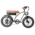 Bezior XF001 Retro Electric Bike - US