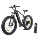 DYU King 750 Mountain Electric Bike - US - Image 3