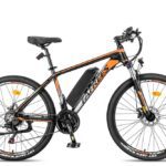 Fafrees 26 Hailong One Electric Bike