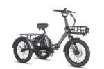 Fafrees F20 Mate Electric Tricycle - Image 11