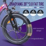 FAFREES F20 Pro Electric Bike - Image 18