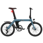 FIIDO D11 Mountain Electric Bike