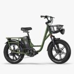 FIIDO T1 pro v2 upgraded Cargo  Electric Bike