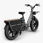 Fiido T2 Longtail Cargo E-bike - Image 7