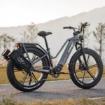 Fiido Titan Robust Cargo Electric Bike - Image 7