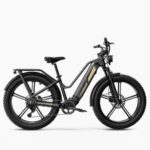 Fiido Titan Robust Cargo Electric Bike-UK
