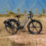 Fiido Titan Robust Cargo Electric Bike-UK - Image 2