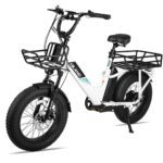 Joykie EHD303 Electric Cargo Bike