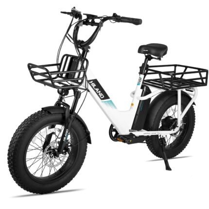 Joykie EHD303 Electric Cargo Bike
