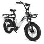 Joykie EHD303 Electric Cargo Bike - Image 2