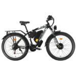 Philodo H8 Dual Motor Cargo Electric bike