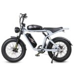 SAMEBIKE M20-II Electric Bike - US - Image 6
